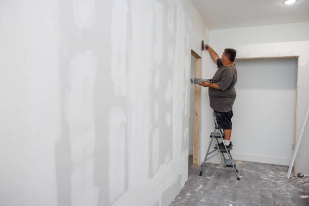 Bowie, MD Mold Removal Company