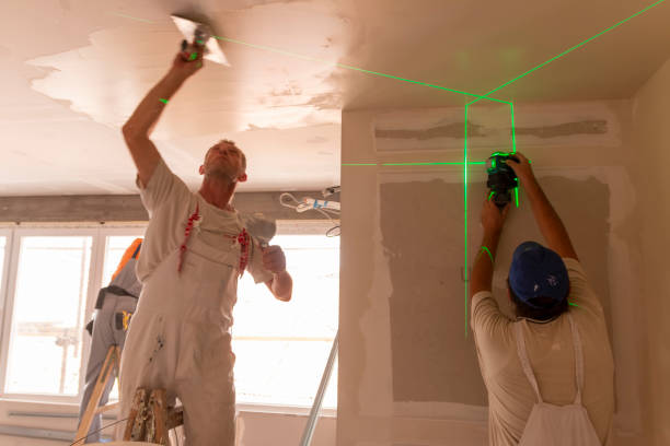 Environmental Consulting for Mold Prevention in Bowie, MD