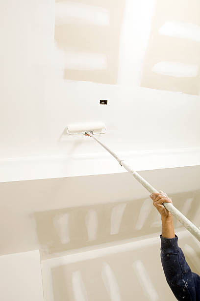 Best Black Mold Removal  in Bowie, MD