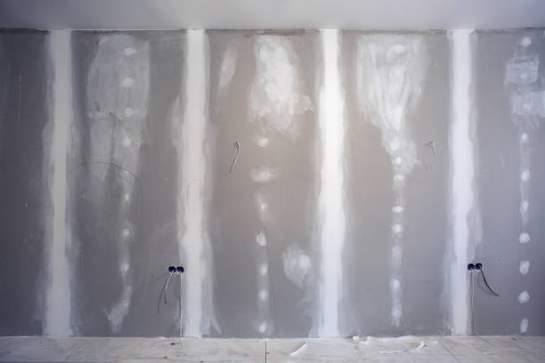 Best Basement Mold Removal  in Bowie, MD